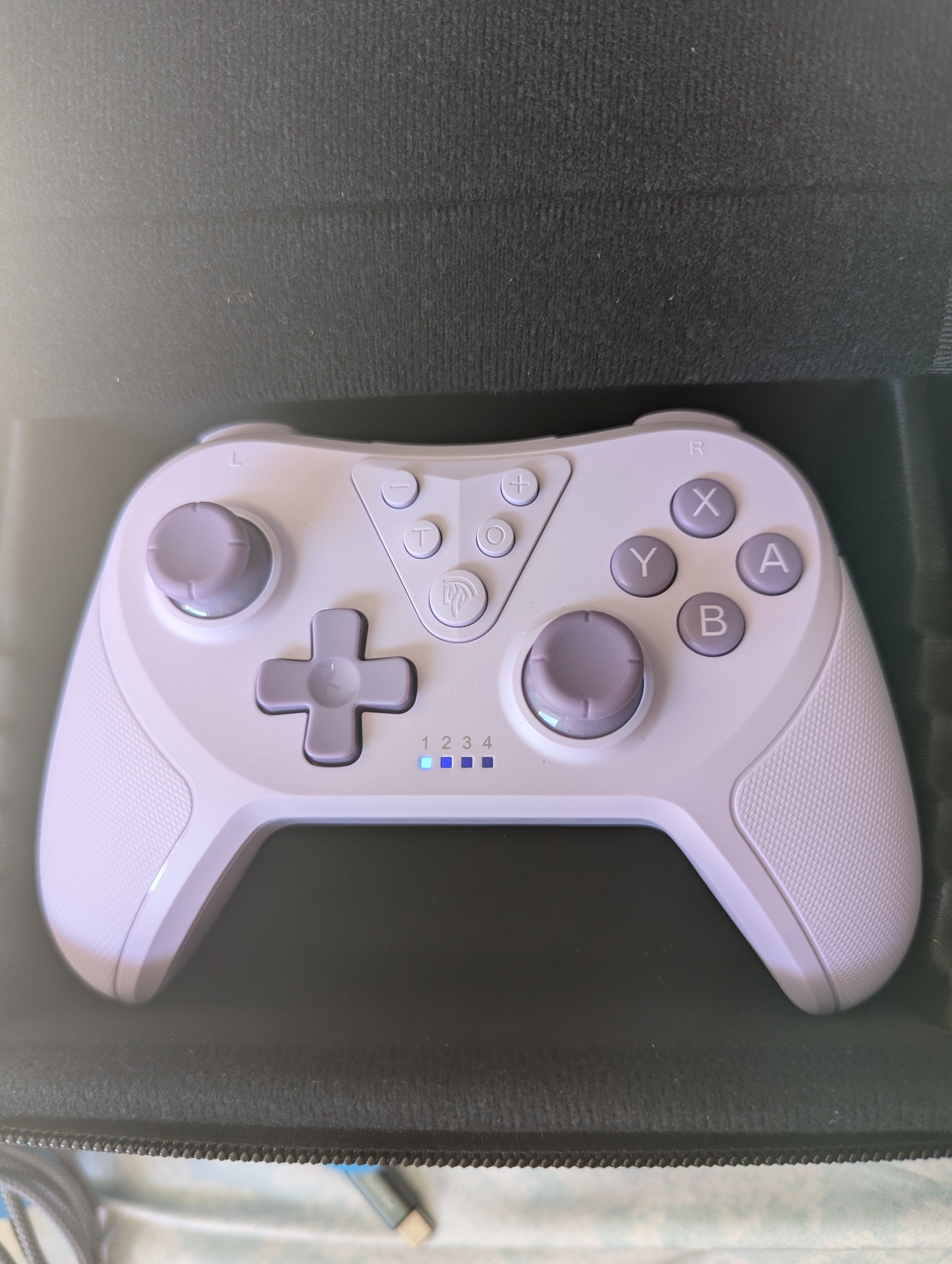 Nintendo Switch Purple Bluetooth Controller