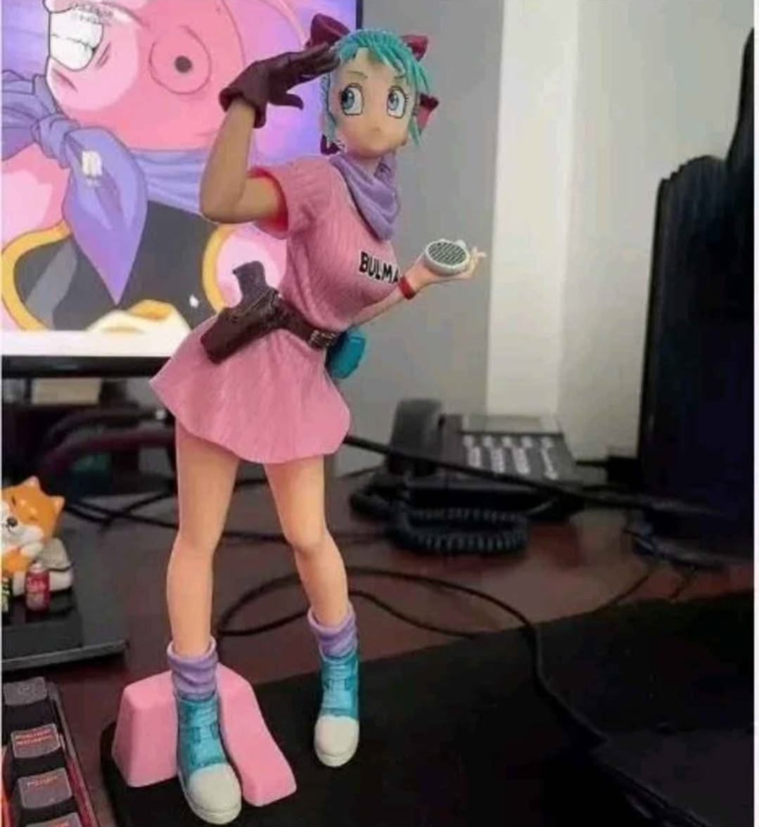 Bulma DBZ 10 inch